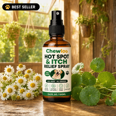 Hot Spot & Itch Relief