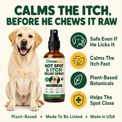 Hot Spot & Itch Relief