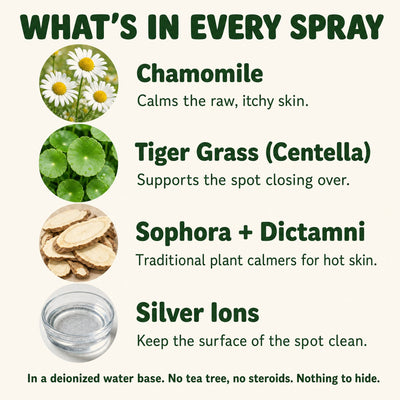 Hot Spot & Itch Relief