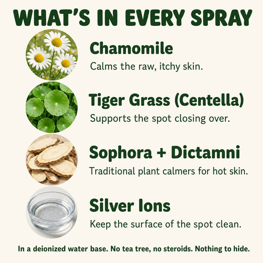 Hot Spot & Itch Relief