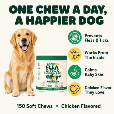 Flea & Tick Chews