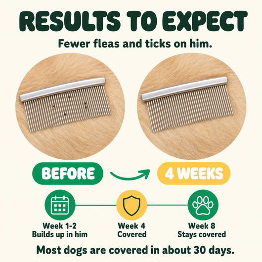 Flea & Tick Chews