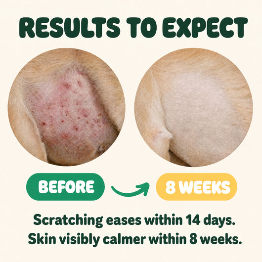 Yeast & Itch Defense