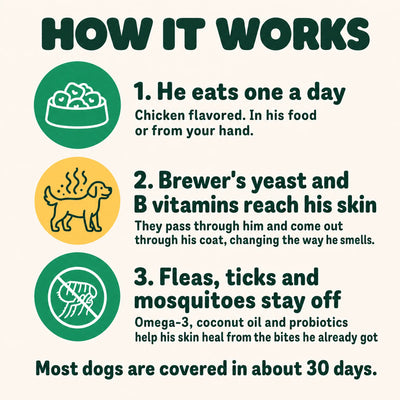Flea & Tick Chews