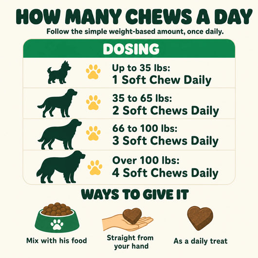 Flea & Tick Chews