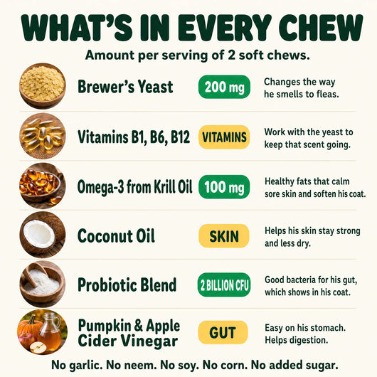Flea & Tick Chews