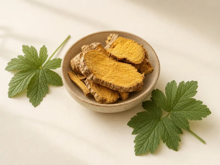 Golden goldenseal root in a dish with fresh leaves